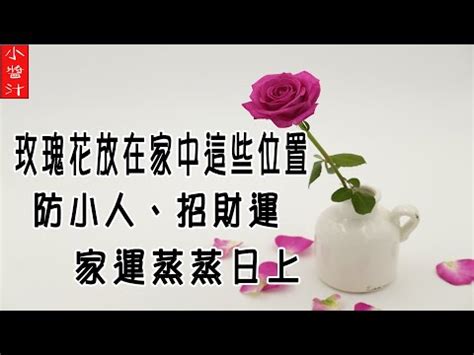 玫瑰花可以放房間嗎 怎麼夢到想夢的人